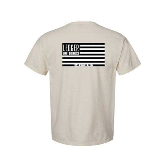Ledger Flag